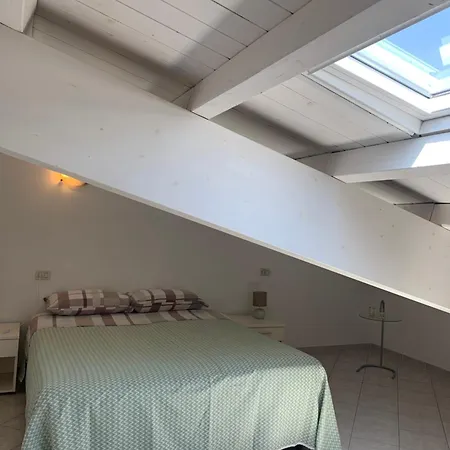 Edera * Porto Corsini